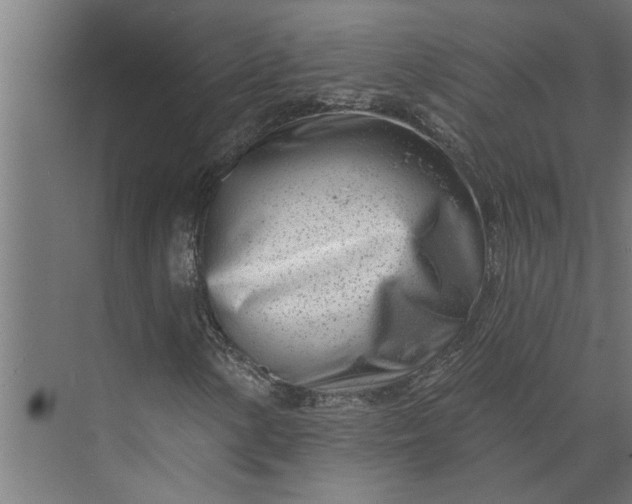 X0000073931154200608251608