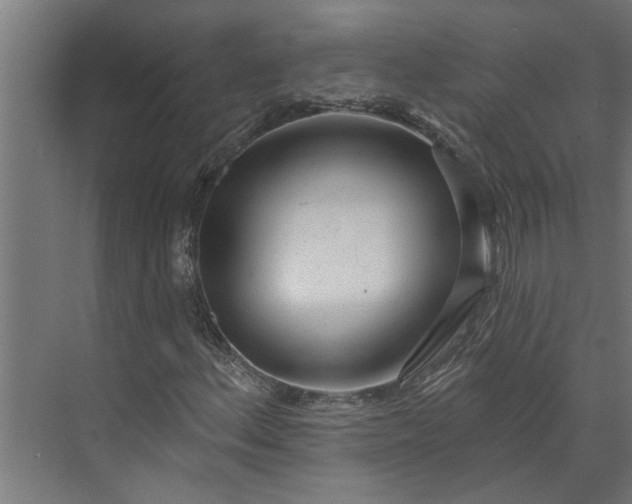 X0000073931156200608251608