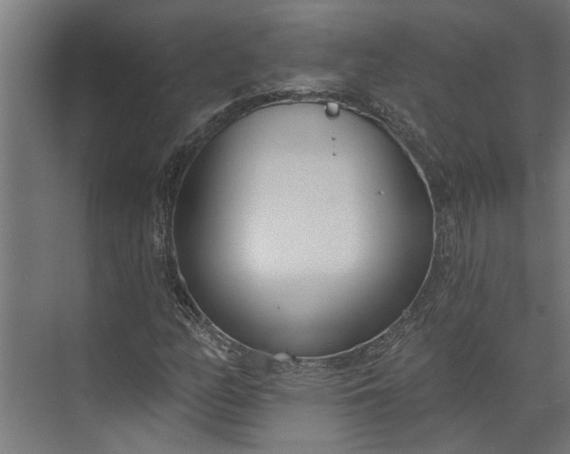 X0000073931158200608251608