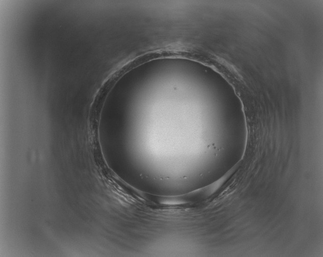 X0000073931160200608251608