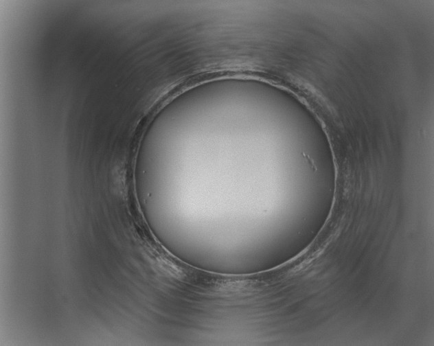 X0000073931162200608251608