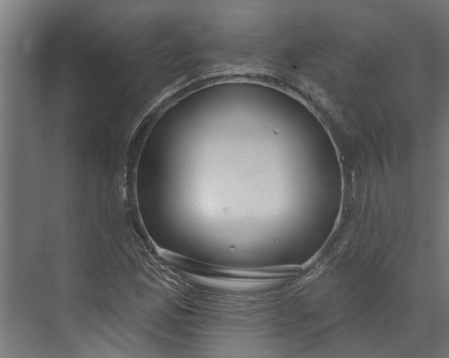 X0000073931165200608251608