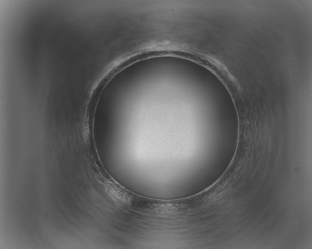 X0000073931167200608251608