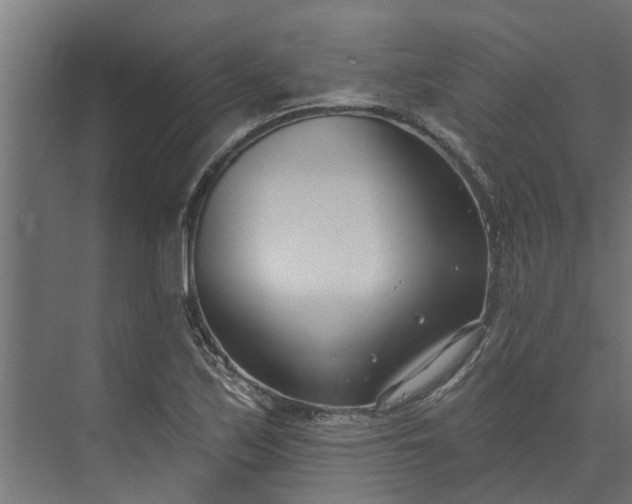 X0000073931171200608251608