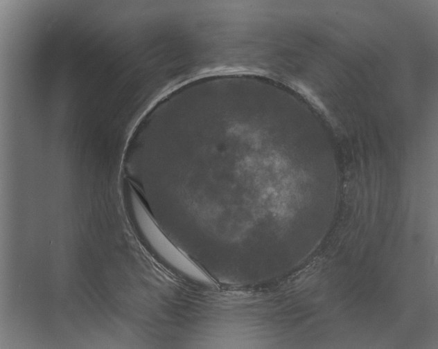 X0000073931173200608251608