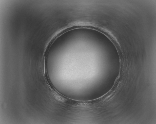 X0000073931175200608251607