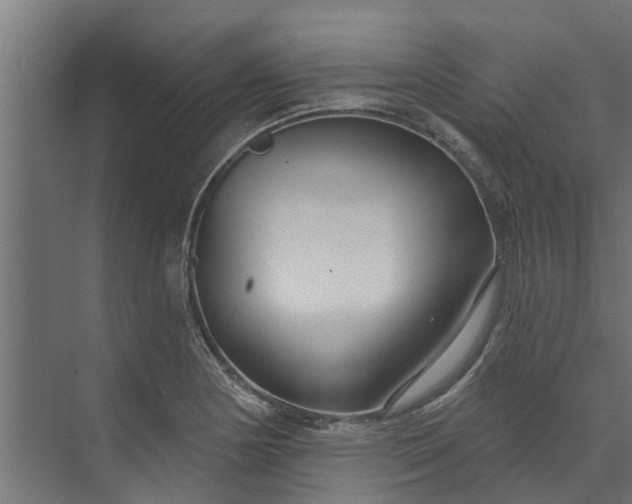 X0000073931178200608251607