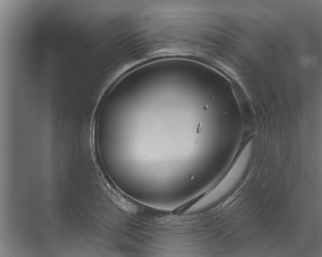 X0000073931179200608251607