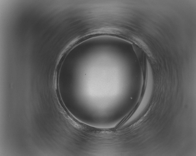 X0000073931180200608251607