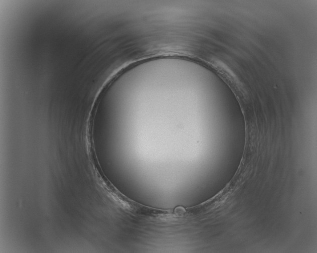 X0000073931182200608251607