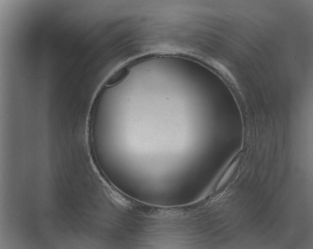 X0000073931183200608251607