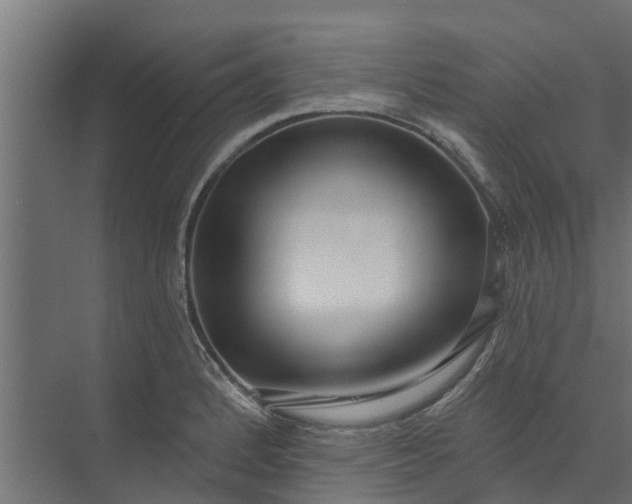 X0000073931184200608251607