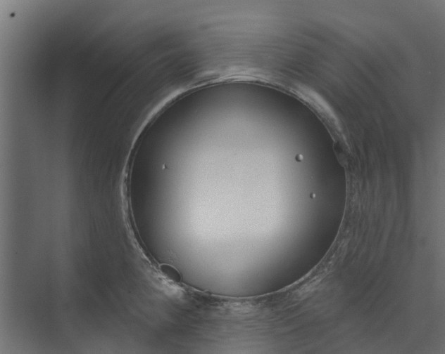 X0000073931190200608251607