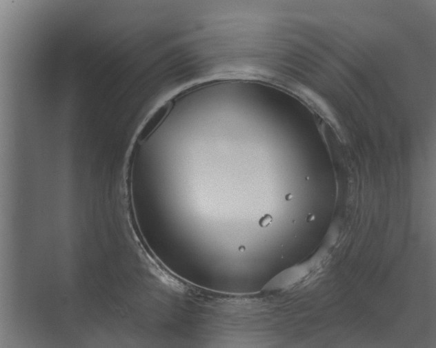 X0000073931192200608251607