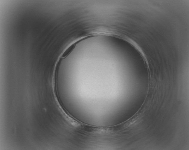 X0000073931195200608251607