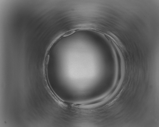 X0000073931196200608251607