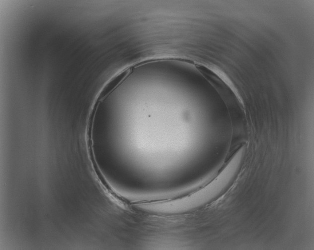 X0000073931197200608251607