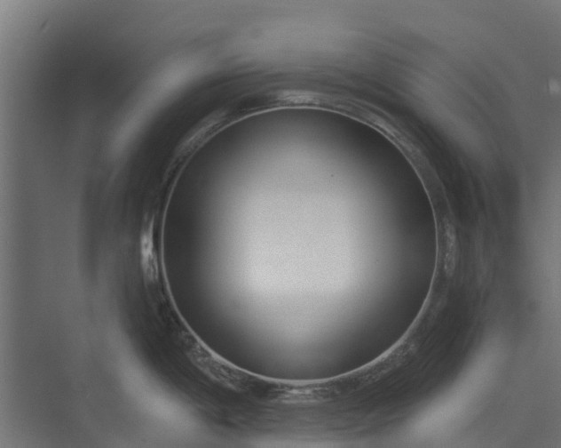 X0000073931198200608251607