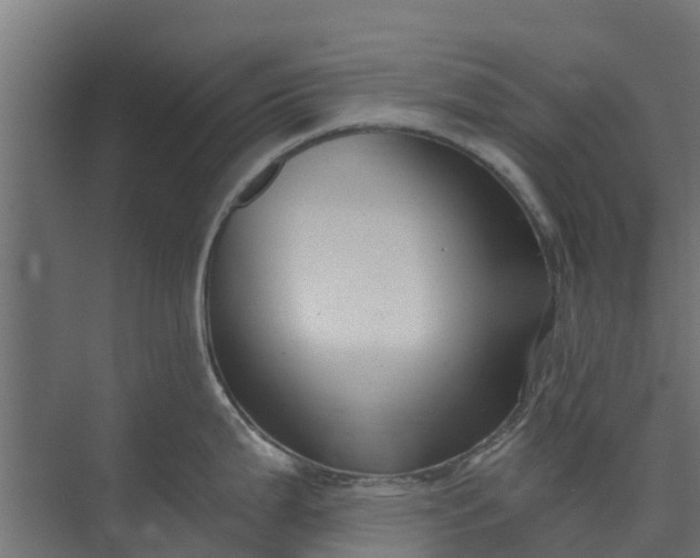 X0000073931199200608251607