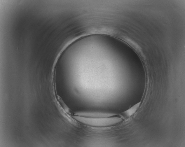 X0000073931200200608251607