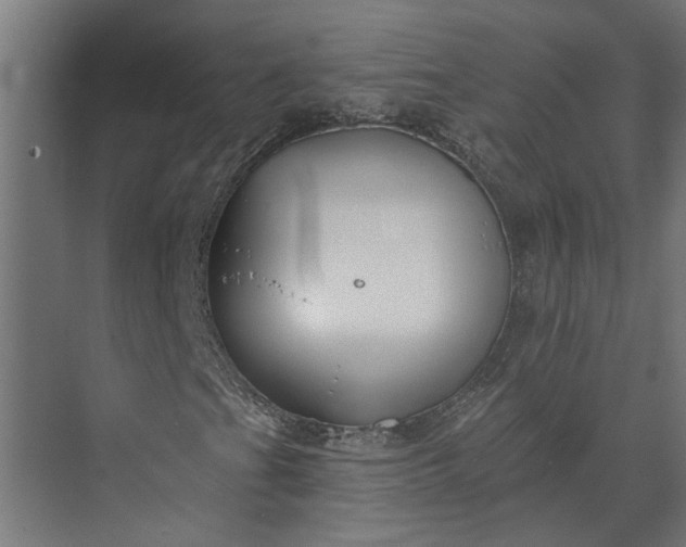 X0000073931201200608251606