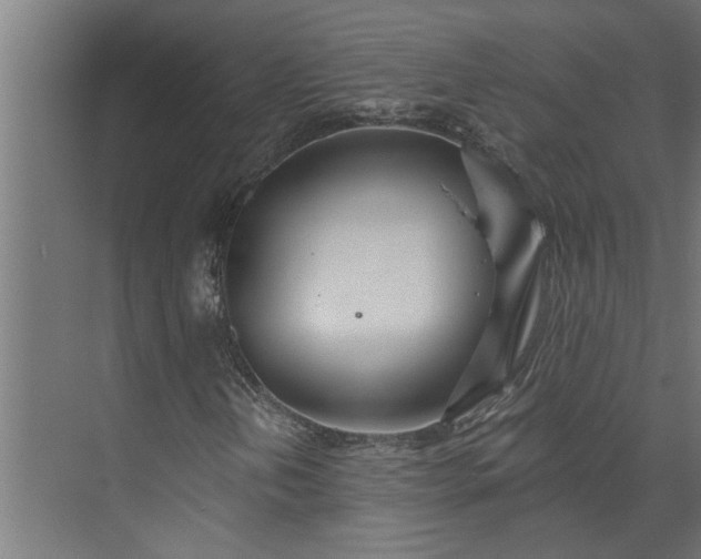 X0000073931202200608251606