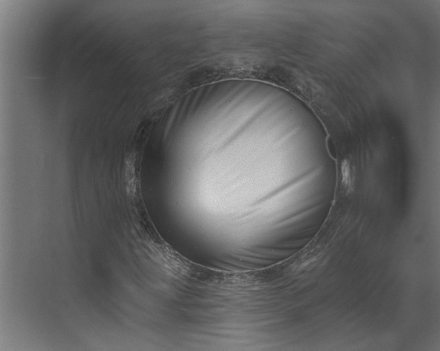 X0000073931203200608251606