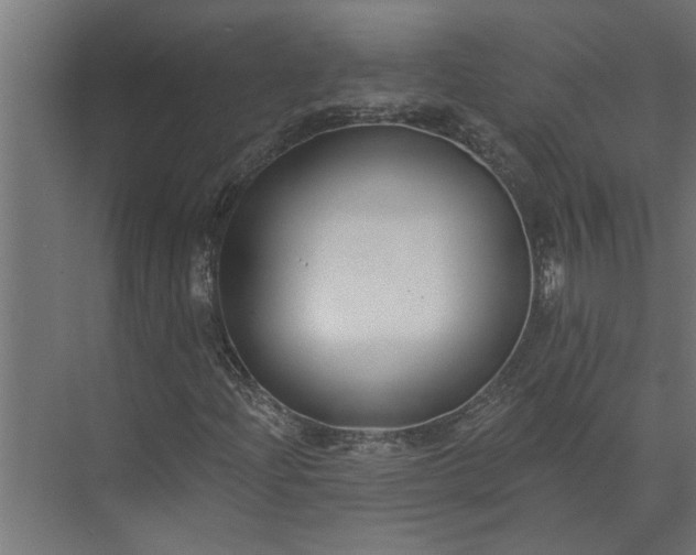 X0000073931204200608251606