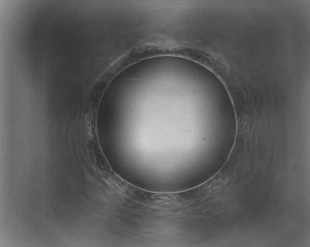 X0000073931205200608251606