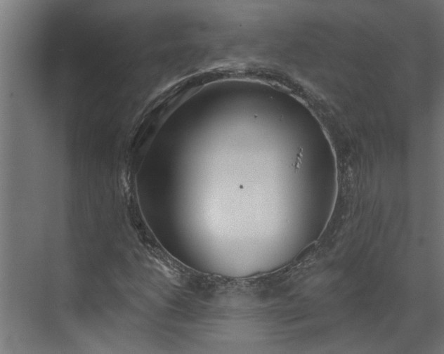 X0000073931206200608251606