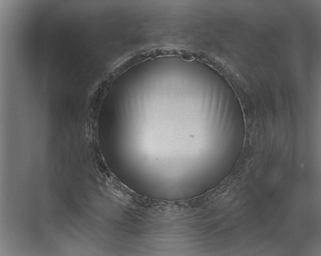 X0000073931207200608251606