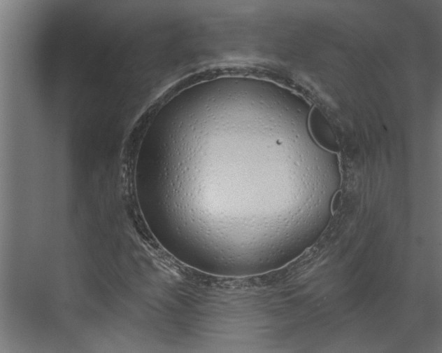 X0000073931208200608251606