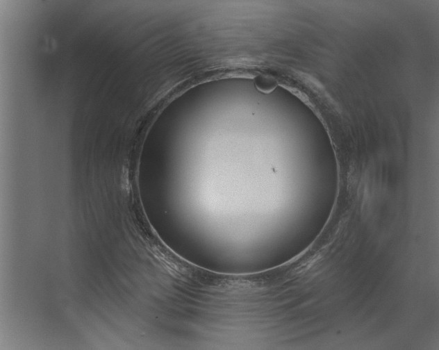 X0000073931209200608251606