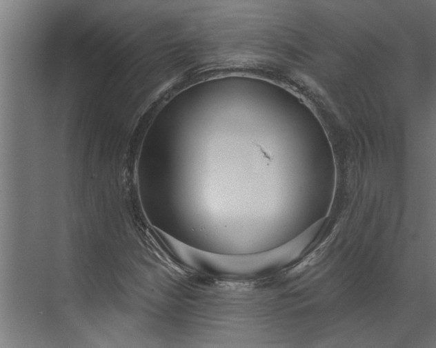 X0000073931210200608251606