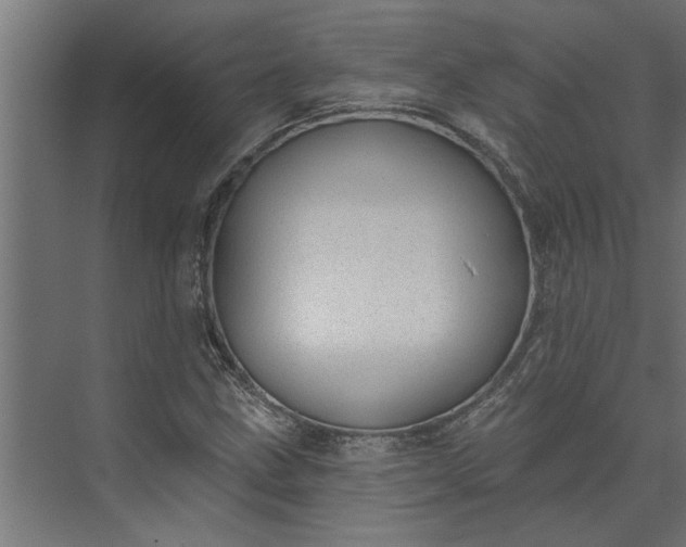 X0000073931211200608251606