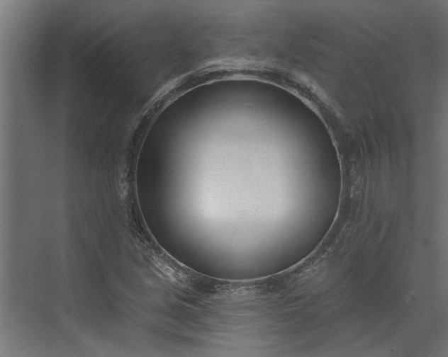 X0000073931213200608251606