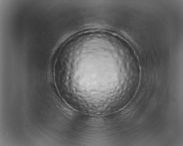 X0000073931215200608251606