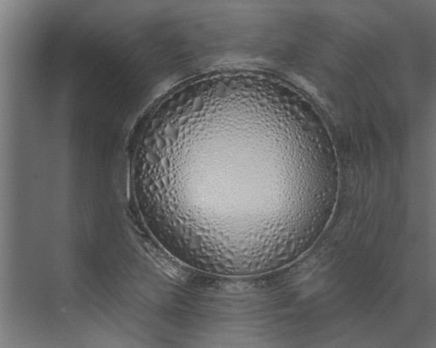 X0000073931219200608251607