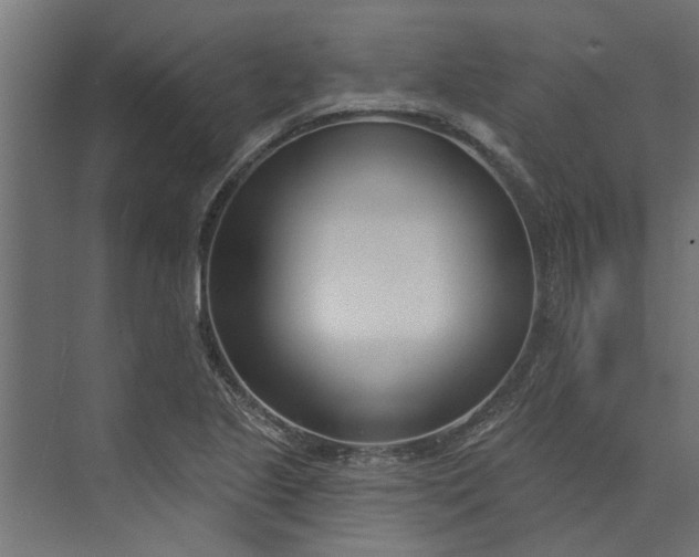 X0000073931221200608251607