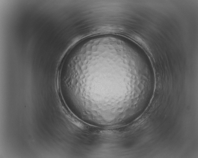 X0000073931227200608251607