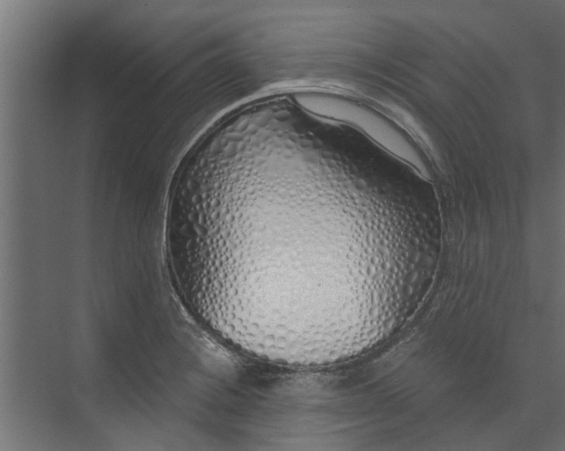 X0000073931228200608251607