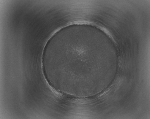 X0000073931229200608251607