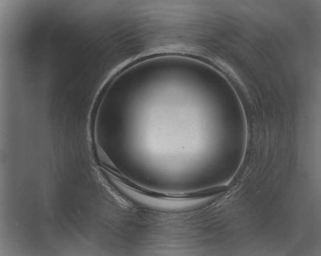 X0000073931230200608251607