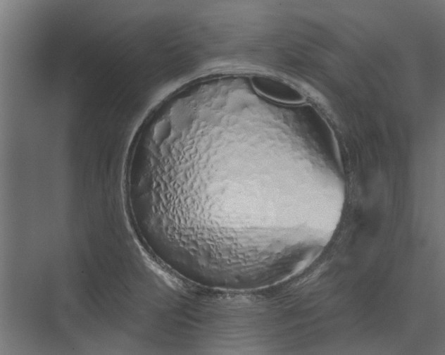 X0000073931231200608251607