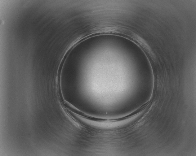 X0000073931234200608251607