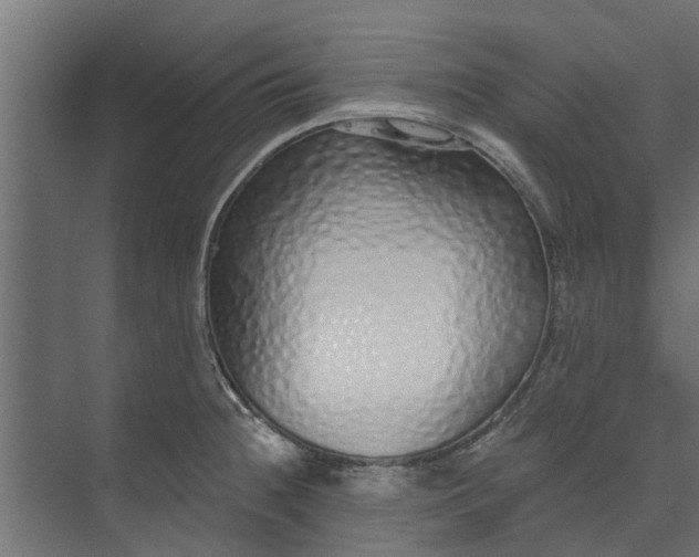 X0000073931236200608251607