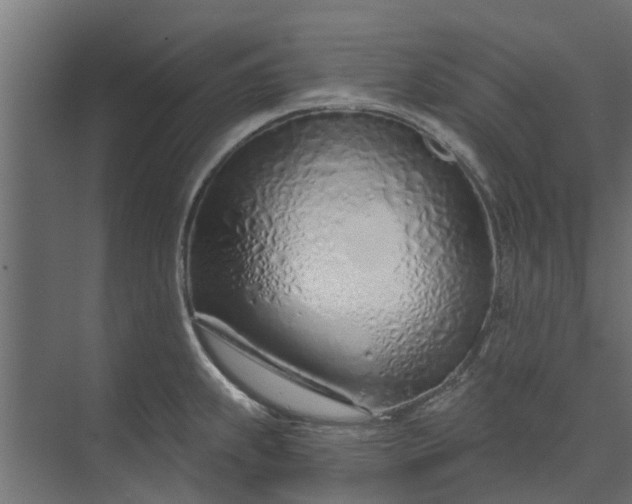 X0000073931239200608251607