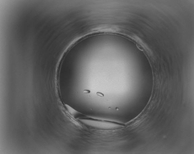 X0000073931240200608251607