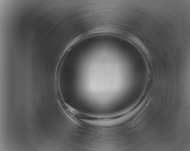 X0000073931242200608251607