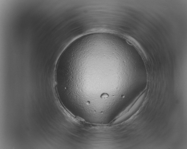 X0000073931244200608251607